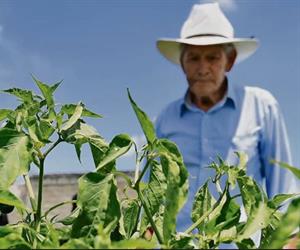 M&eacute;xico entre los l&iacute;deres mundiales en alimentos