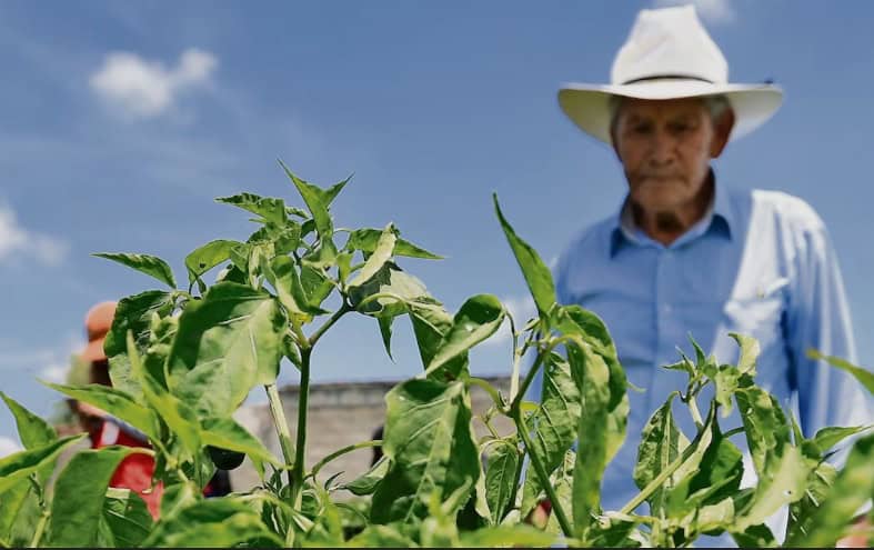 M&eacute;xico entre los l&iacute;deres mundiales en alimentos