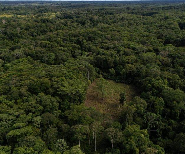 Colombia usará drones para destruir cultivos de coca ante récord de producción de cocaína