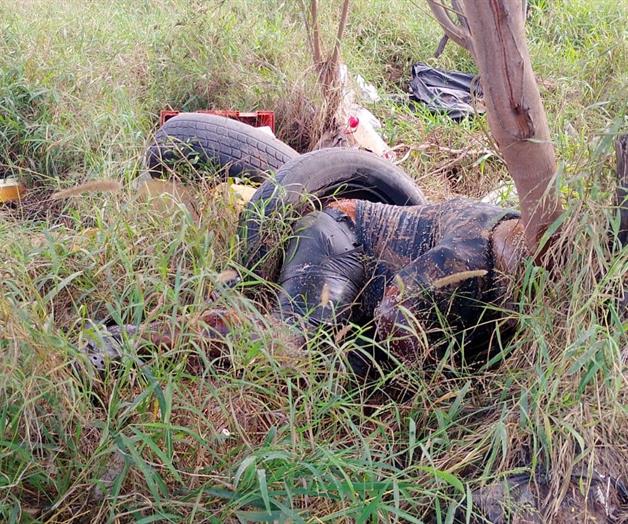 &iexcl;Hallan cad&aacute;ver!