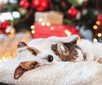 &iquest;C&oacute;mo cuidar a tus mascotas en Navidad y evitar el estr&eacute;s?