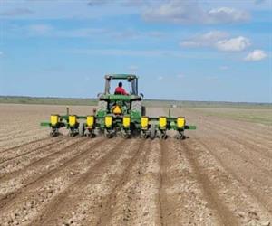 Inicia siembra de sorgo