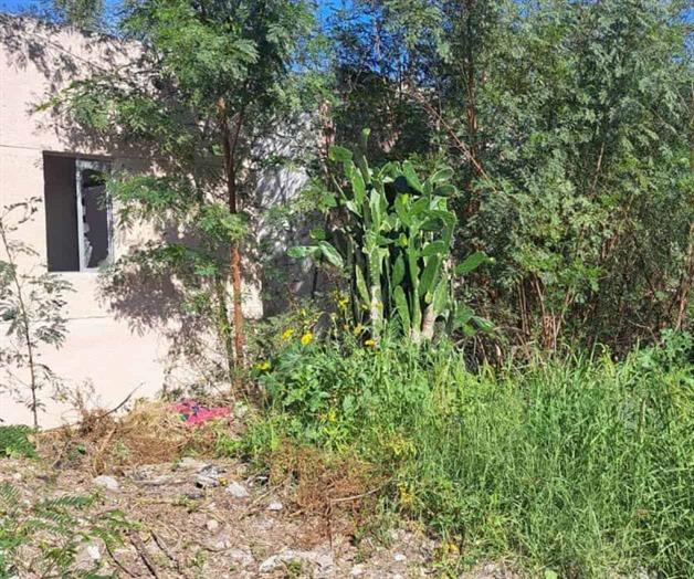 Reynosa l&iacute;der en Estado en casas abandonadas