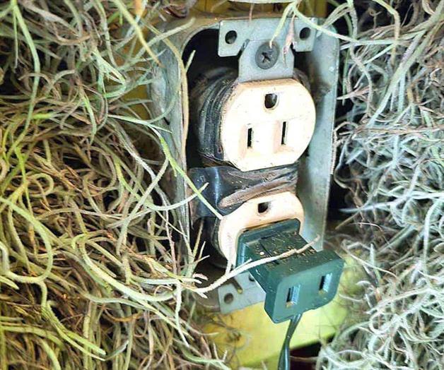 Pide Salud festejar con responsabilidad