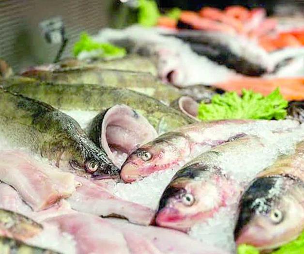Decomisan m&aacute;s de 5 mil toneladas de pescado en 2025