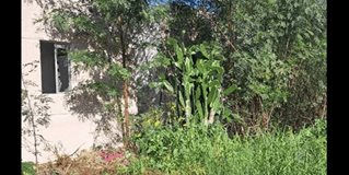 Reynosa l&iacute;der en casas abandonadas en Tamaulipas