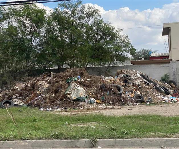 Genera basurero clandestino roedores que invaden casas