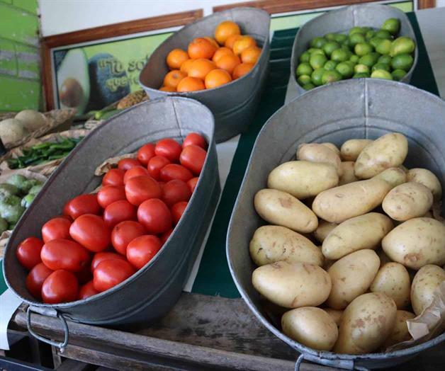 Repuntan ventas de carne y comestibles