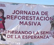 Finaliza campa&ntilde;a de reforestaci&oacute;n en Nuevo Laredo