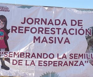Finaliza campa&ntilde;a de reforestaci&oacute;n en Nuevo Laredo