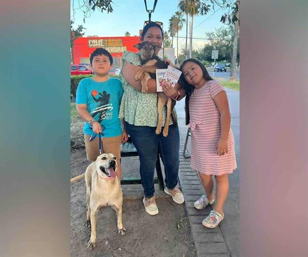 Mejora Bienestar Animal