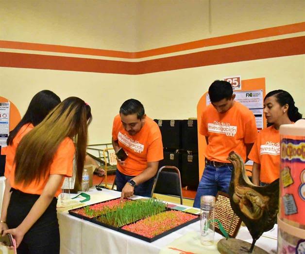 Produce la UAT forraje hidrop&oacute;nico del sorgo y ma&iacute;z