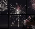 Consejos para proteger a tu mascota de la pirotecnia en fin de a&ntilde;o