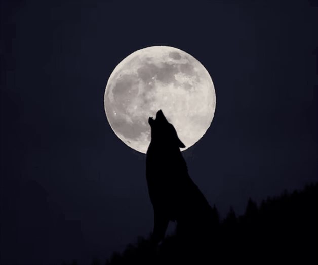 Superluna de Lobo: ¿cuándo ver la primera Luna llena del 2026? Superluna de Lobo: ¿cuándo ver la primera Luna llena del 2026?