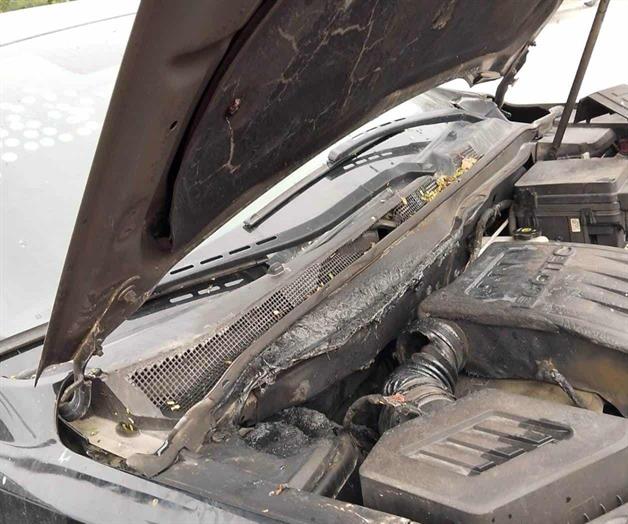 Falla mec&aacute;nica provoca incendio en camioneta en R&iacute;o Bravo