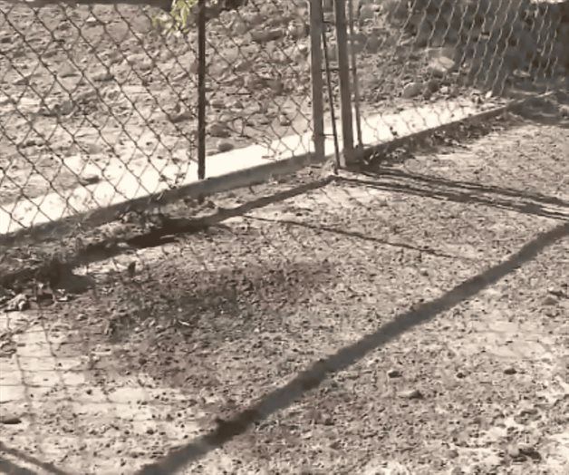 investigan doble crimen en garciasville