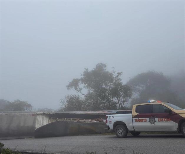Cami&oacute;n que transportaba alimentos para mascotas volc&oacute; en la Ocampo-Tula