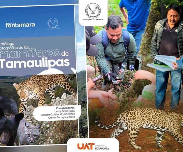 Difunde UAT catálogo fotográfico de mamíferos que habitan Tamaulipas Difunde UAT catálogo fotográfico de mamíferos que habitan Tamaulipas