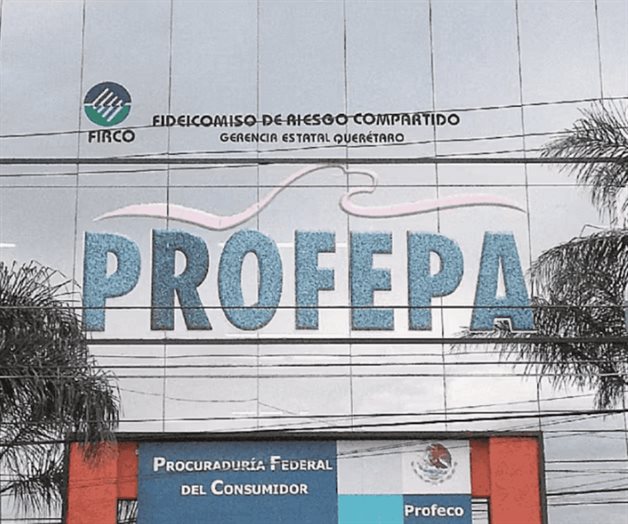 Profepa detalla clausura parcial de proyecto en Yucat&aacute;n