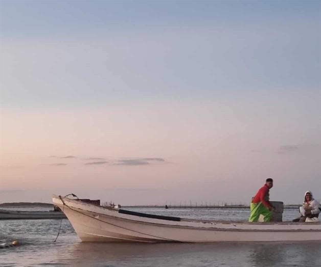 Termina veda de Lisa en la Laguna Madre Termina veda de Lisa en la Laguna Madre
