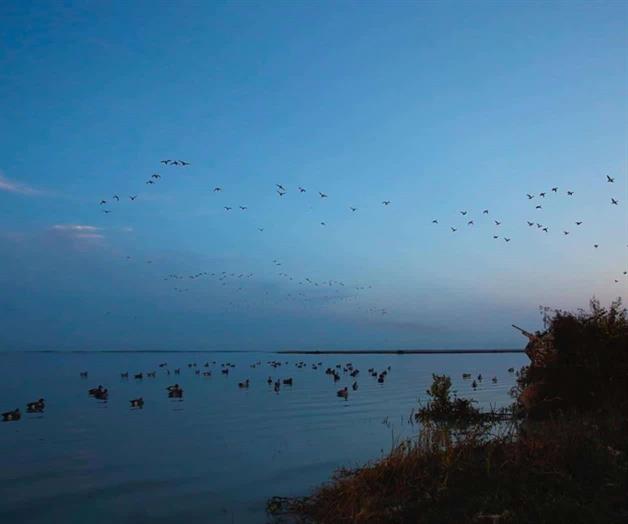 Alistan arribo de cazadores Alistan arribo de cazadores