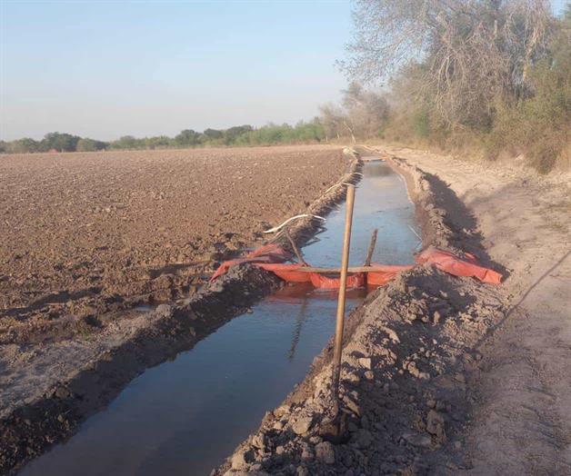 Siembran agricultores menos del 50% este a&ntilde;o