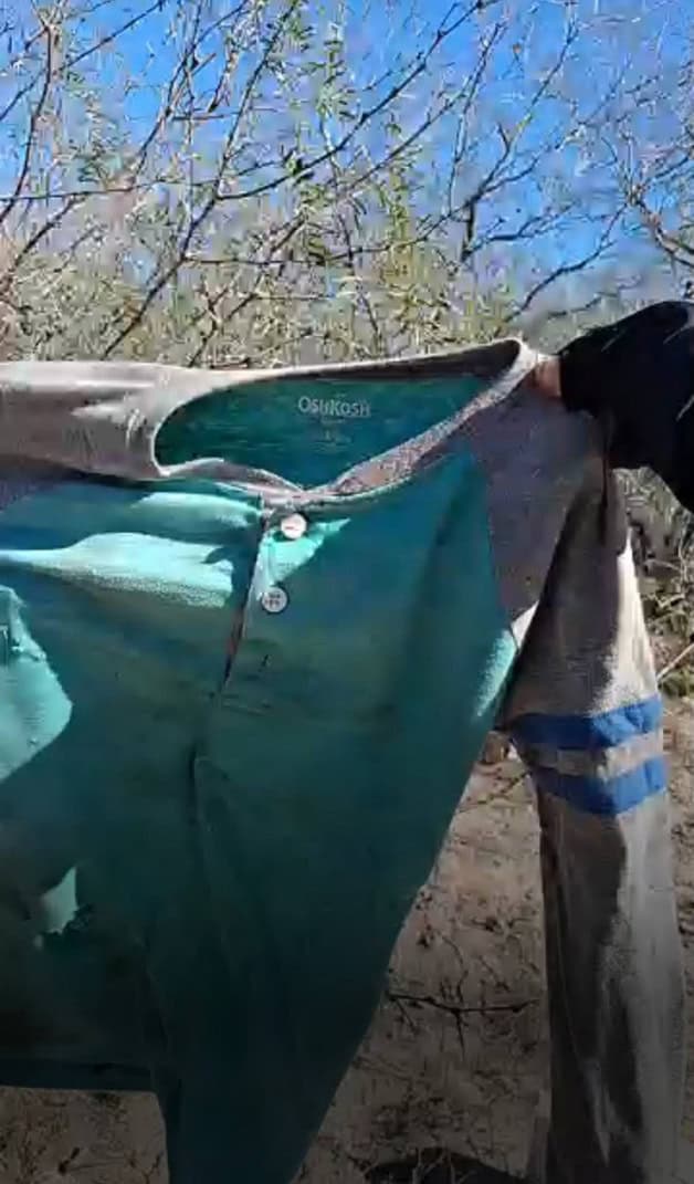 Colectivo inicia jornadas de búsqueda en la ciudad Colectivo inicia jornadas de búsqueda en la ciudad