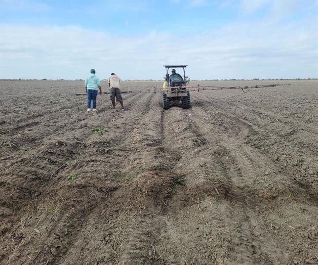 Maleza quita agua a los agricultores