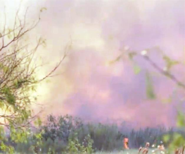 Incendio de pastizal arrasa con 185 acres Incendio de pastizal arrasa con 185 acres