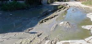 La colonia Manuel T&aacute;rrega, una d&eacute;cada entre aguas negras