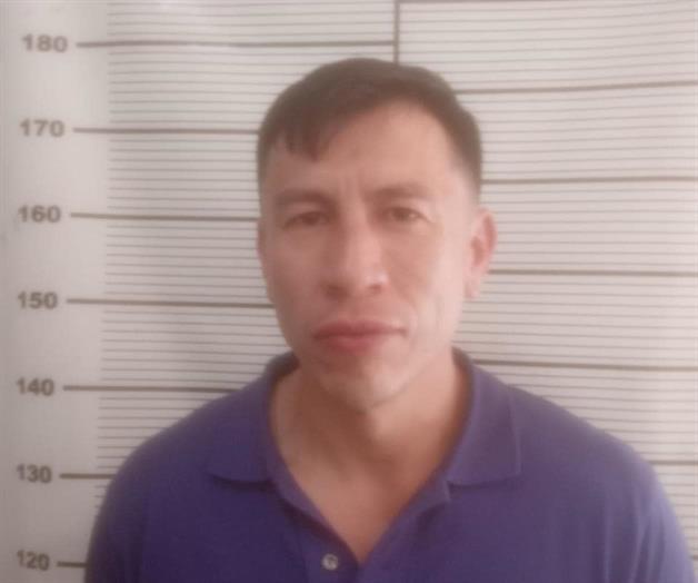 Choca e intenta darse a la fuga Choca e intenta darse a la fuga