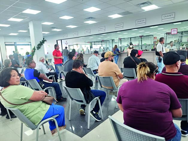 No desaparecerá la licencia permanente No desaparecerá la licencia permanente