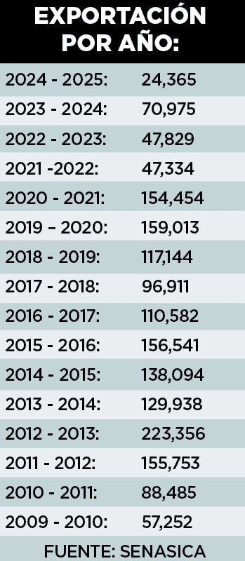 Colapsa exportación ganadera Colapsa exportación ganadera