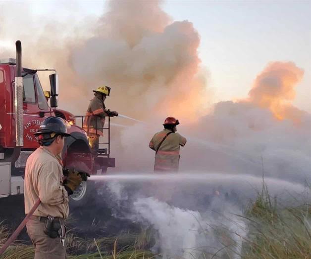 Decenas de hect&aacute;reas de vegetaci&oacute;n destruidas