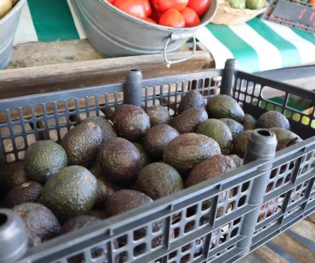 Aumentan alimentos clave Aumentan alimentos clave