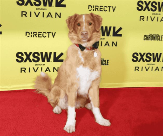 Galardonado por su trabajo actoral