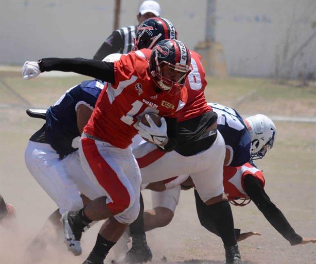 Van B&uacute;falos en busca de m&aacute;s talento