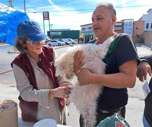 Impulsan la salud de perros y gatos