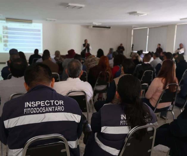 Actualizan a productores contra gusano barrenador