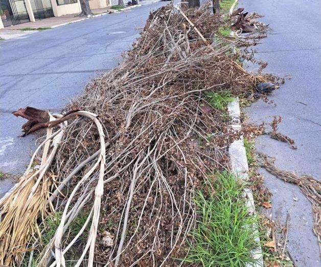 Colonia Petrolera clama atenci&oacute;n de autoridades