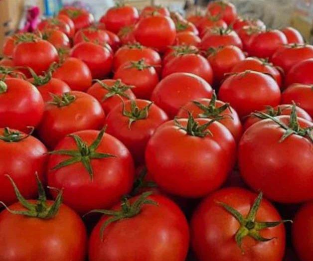 El jitomate se abarata en todo el pa&iacute;s en 2025