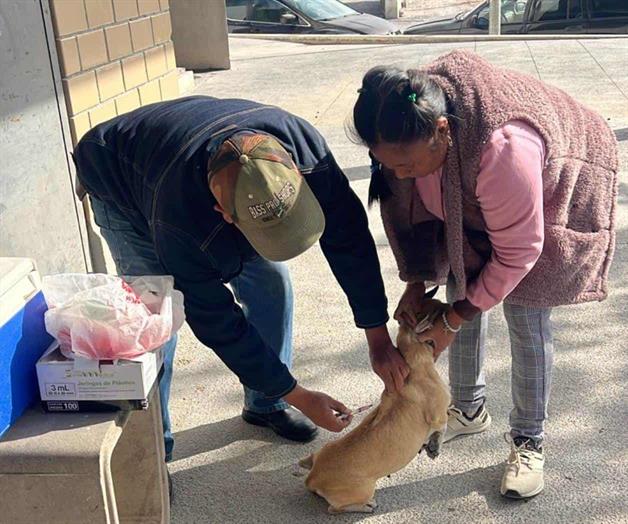Desaf&iacute;an al fr&iacute;o, acuden familias a la vacunaci&oacute;n