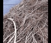 Colonia Petrolera clama atenci&oacute;n de autoridades