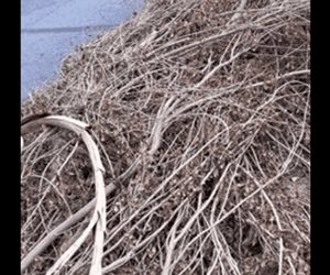 Colonia Petrolera clama atenci&oacute;n de autoridades