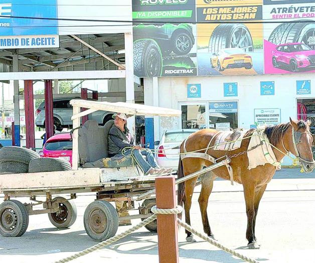 Riesgos viales y maltrato