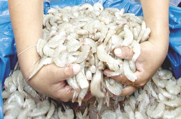 Coepris redobla actividades previo a inicio de Cuaresma