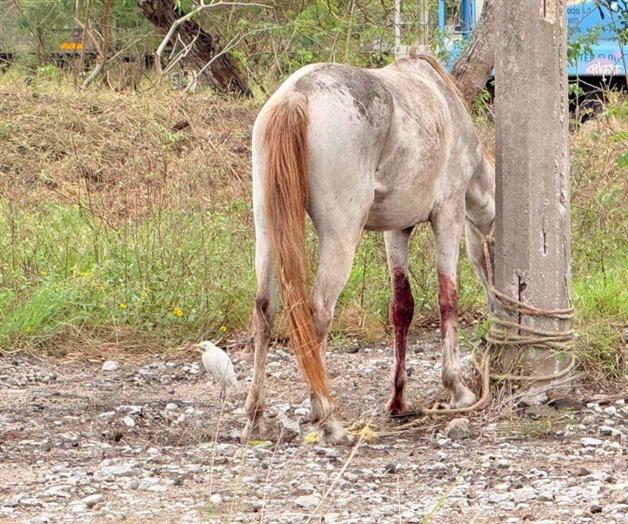 &iexcl;Indignaci&oacute;n total!