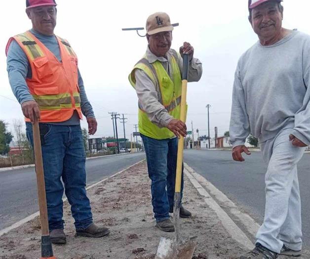 Ayudan vecinos en campa&ntilde;a permanente de reforestaci&oacute;n