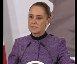 De marzo a diciembre, credencializaci&oacute;n Universal de Salud